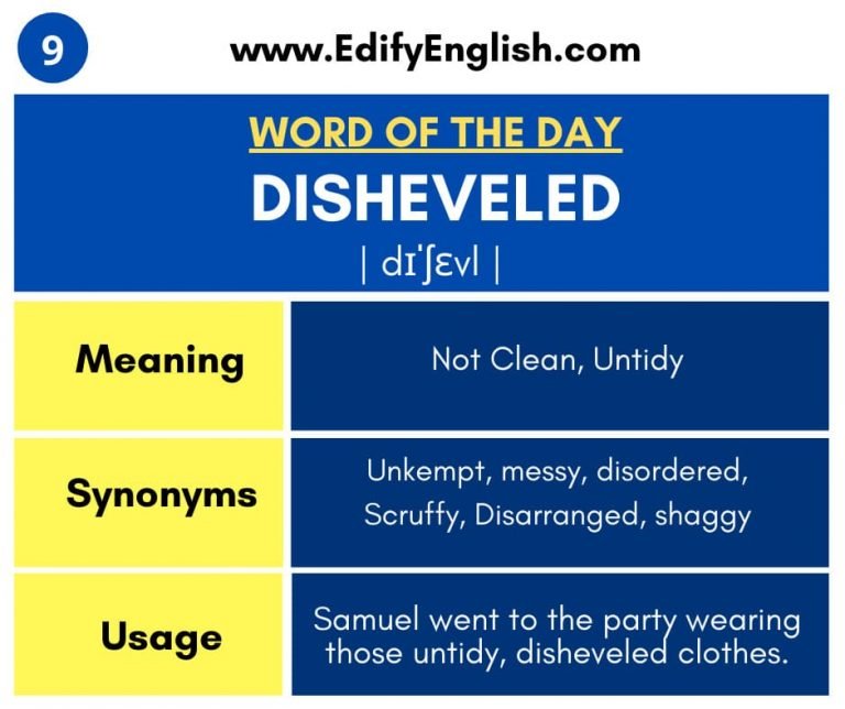 disheveled-meaning-synonyms-antonyms-and-usage-vocabulary